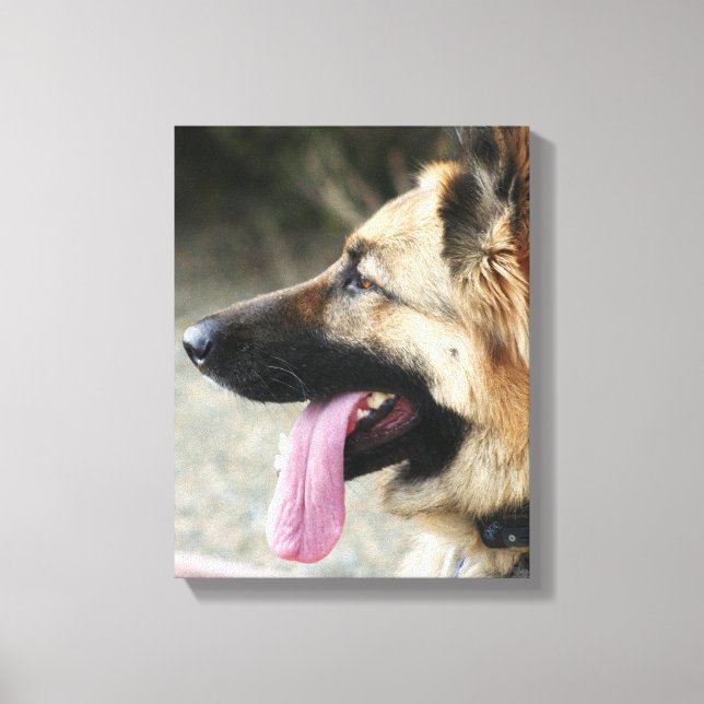 German Shepherd gallery wrap canvas print (Front)