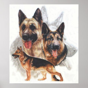 German Shepherd "Ghost" Collage Poster