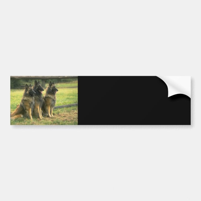 German Shepherd Gifts Bumper Sticker (Front)