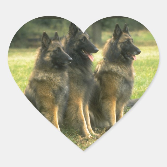 German Shepherd Gifts Heart Sticker (Front)