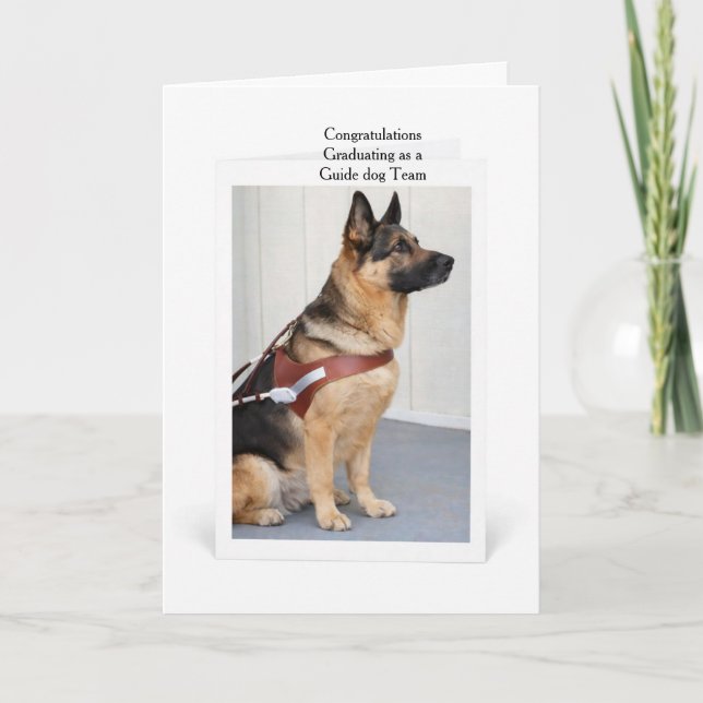German Shepherd Graduating as a Guide Dog Team Card (Front)