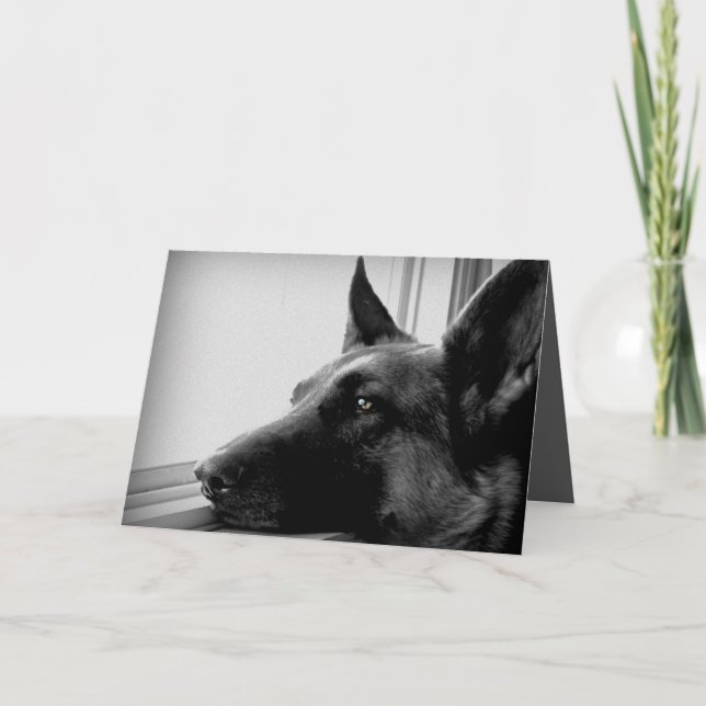 German Shepherd Greeting Card (Front)