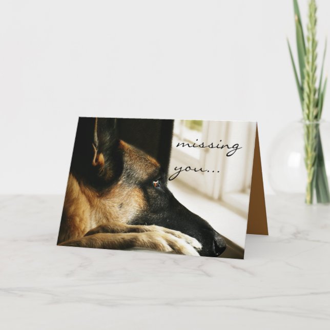 German Shepherd Greeting Card (Front)