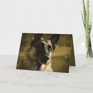 German Shepherd Greeting Card