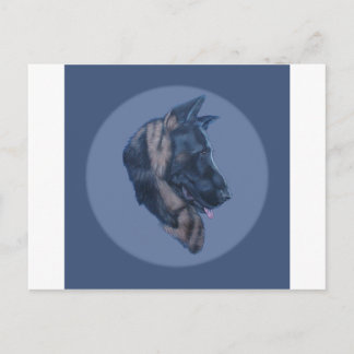 German Shepherd Head Study Postcard