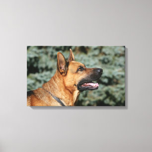 German Shepherd Headshot 1 Canvas Print