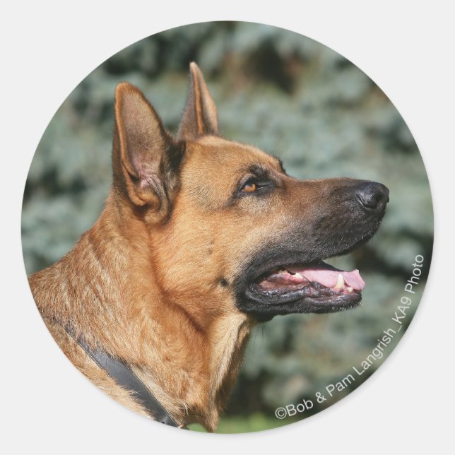 German Shepherd Headshot 1 Classic Round Sticker (Front)