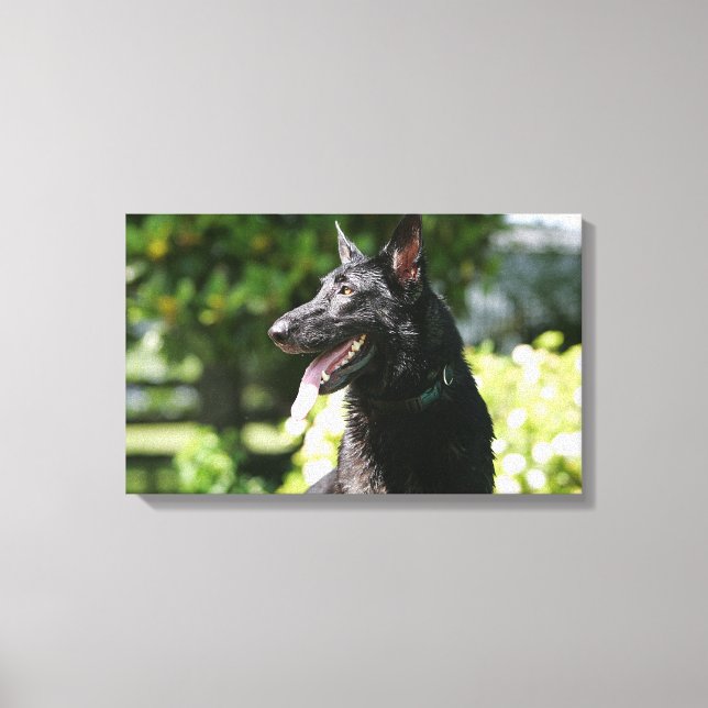 German Shepherd Headshot 2 Canvas Print (Front)