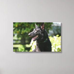 German Shepherd Headshot 2 Canvas Print