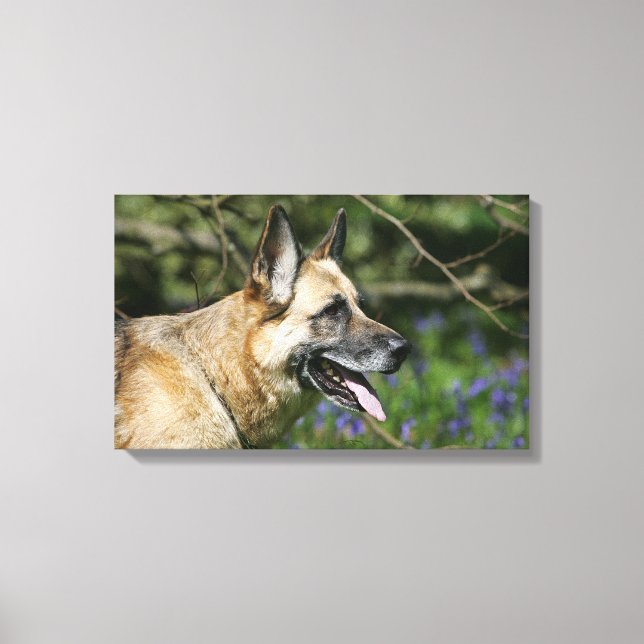 German Shepherd Headshot 3 Canvas Print (Front)