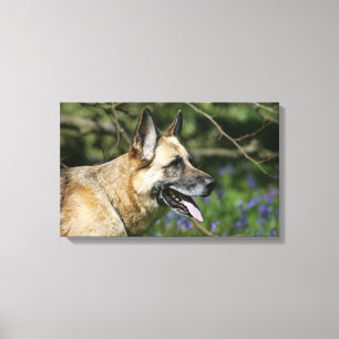 German Shepherd Headshot 3 Canvas Print