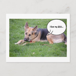German shepherd Humour Postcard