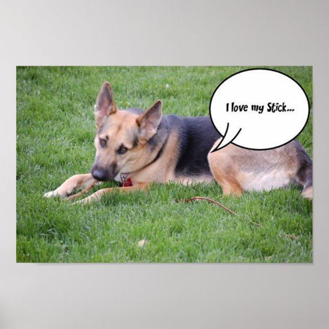 German shepherd Humour Poster (Front)