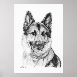 German Shepherd in Graphite Print