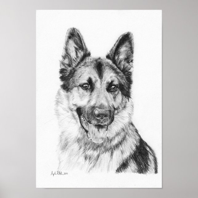German Shepherd in Graphite Print (Front)