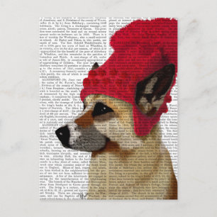 German Shepherd in Red Woolly Hat Postcard