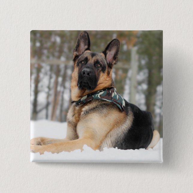 German Shepherd In Snow 2 Inch Square Button (Front)