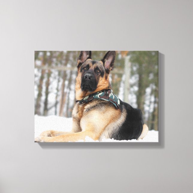 German Shepherd In Snow Canvas Print (Front)