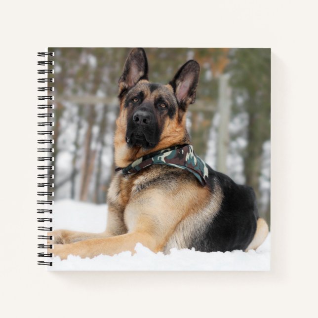 German Shepherd In Snow Notebook (Front)
