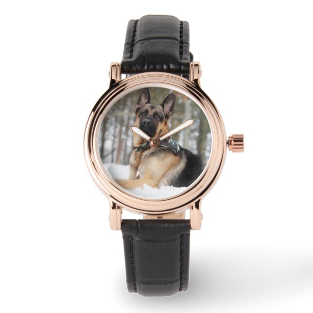 German Shepherd In Snow Watch (Front)
