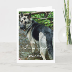 German Shepherd in the Creek; Sympathy Card