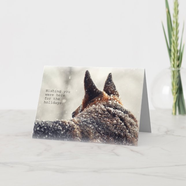 German Shepherd in the Snow Photo Holiday Card (Front)