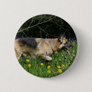 German Shepherd in Yellow Flowers 2 Inch Round Button