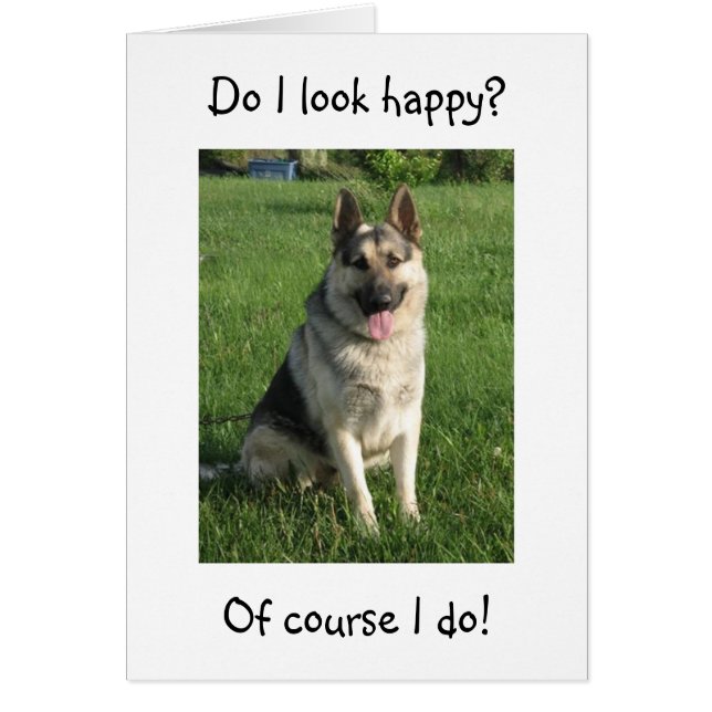 GERMAN SHEPHERD IS SO HAPPY U R "40" NOT HIM (Front)