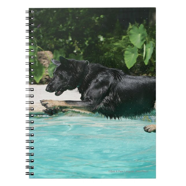 German Shepherd Jumping in Water Notebook (Front)