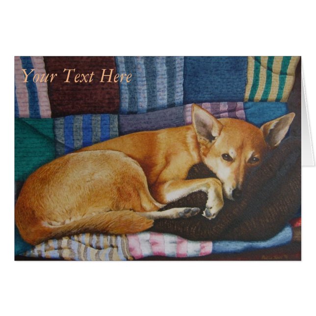 german shepherd labrador mixed breed dog portraits (Front Horizontal)