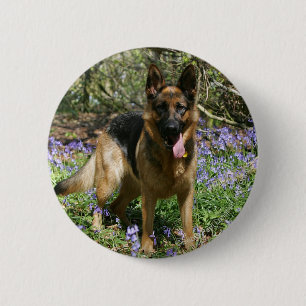German Shepherd Laying Down 2 Inch Round Button