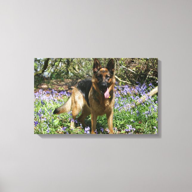German Shepherd Laying Down Canvas Print (Front)