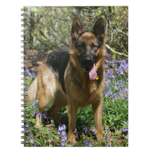 German Shepherd Laying Down Notebook