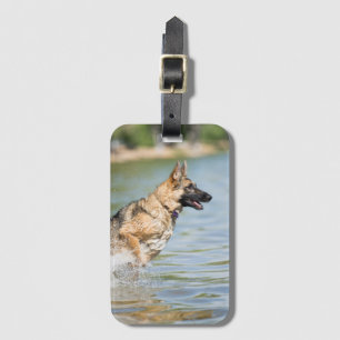 German Shepherd Leaps Into Water Luggage Tag