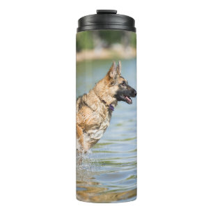 German Shepherd Leaps Into Water Thermal Tumbler