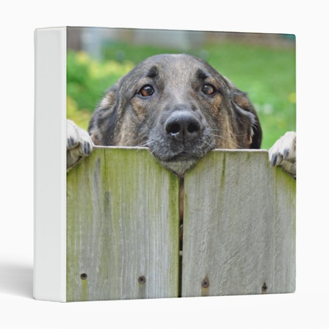 German Shepherd Looking Over Fence Binder (Front/Spine)