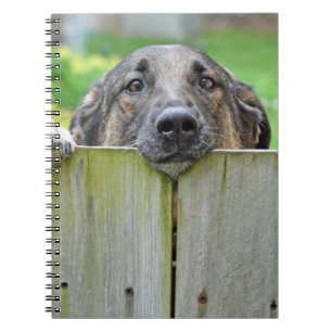 German Shepherd Looking Over Fence Notebook