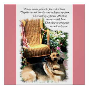 German Shepherd Love Gifts Poster