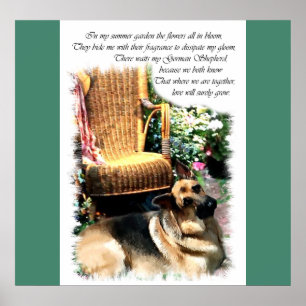 German Shepherd Love Gifts Poster