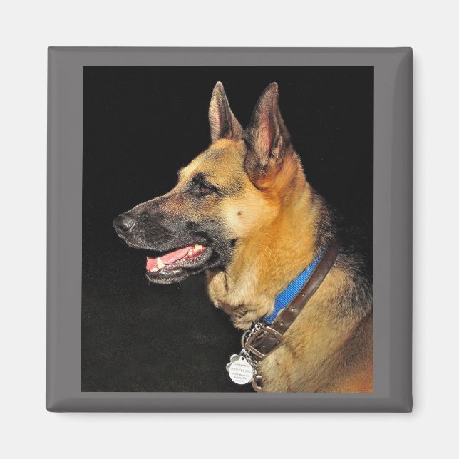 German Shepherd Magnet (Front)