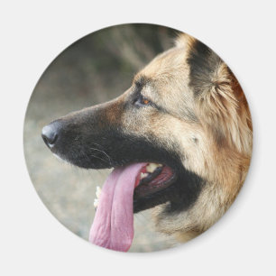 German Shepherd Magnet