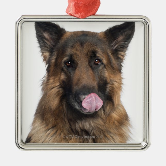 German Shepherd Metal Ornament (Front)