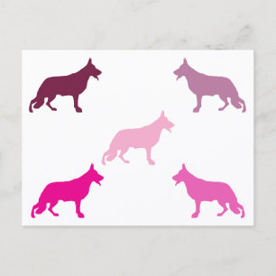 German Shepherd minimal pattern magenta Postcard