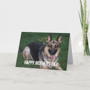 German Shepherd: Mothers Day Card