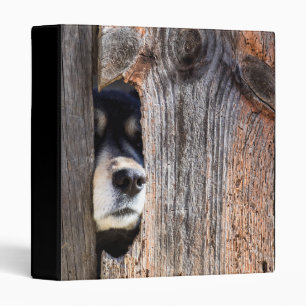 German Shepherd Nose Peeking Through Fence Binder