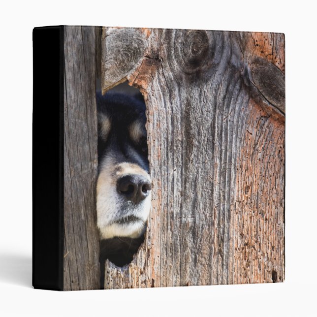 German Shepherd Nose Peeking Through Fence Binder (Front/Spine)