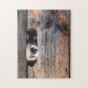 German Shepherd Nose Peeking Through Fence Jigsaw Puzzle