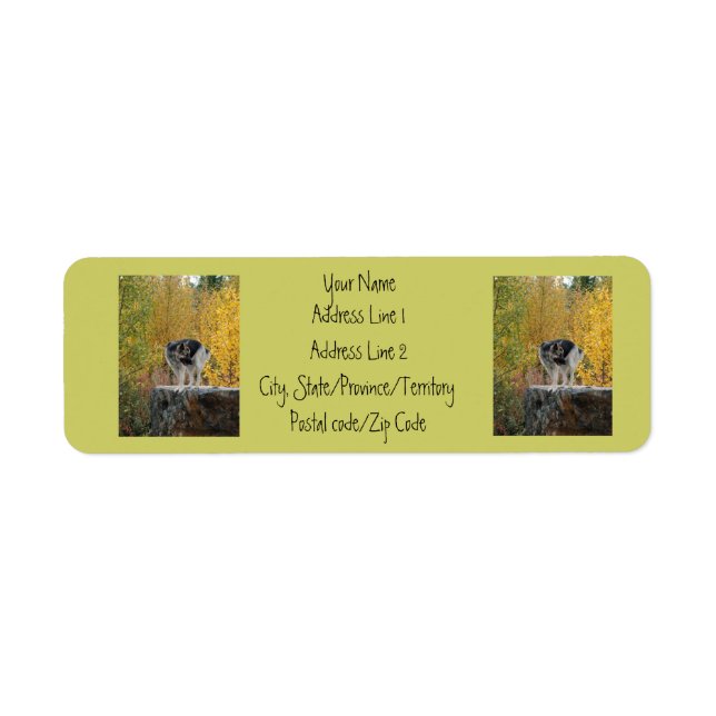 German Shepherd on a Rock (Front)