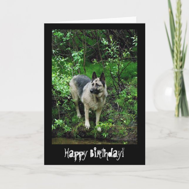 German Shepherd on the Shore; Happy Birthday Card (Front)
