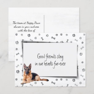 German Shepherd Pet Sympathy Loss Postcard